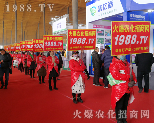     2019�ӱ�ʯ���fֲ����(hu��)�ϻ��r(n��ng)���W(w��ng)��Ӣ�ɳ�������(zh��n)��(j��)��