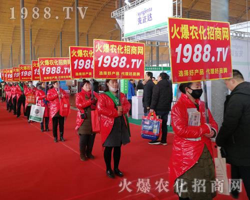     2019��30�úӱ�ֲ���������r(n��ng)���W(w��ng)Ҋ�C�ИI(y��)ʢ���ل�(chu��ng)�ѿ���