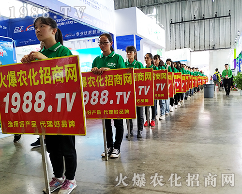     ���r���W(w��ng)��2019�����r�Y���[���Ͼ`�Ź��