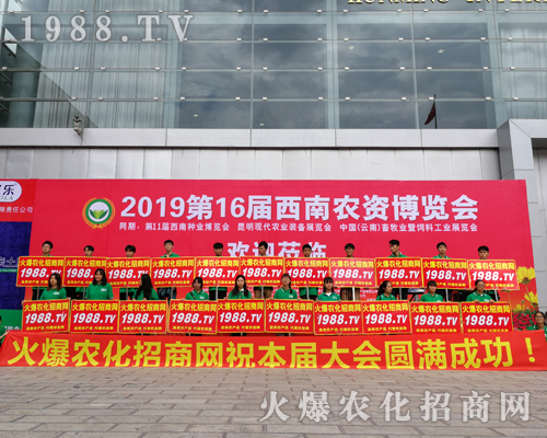     2019�����r(n��ng)�Y���[�������r(n��ng)���W(w��ng)�������o̎����