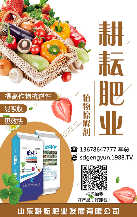 尿素價格持續(xù)下滑！今日局部區(qū)域尿素市場行情2019年8月13日