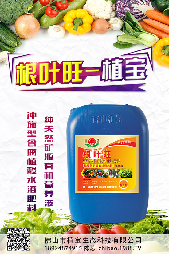 秋蘿卜什么時候種？該怎么種？2019秋蘿卜種植管理方案