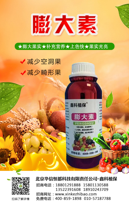 種植鳳眼果有幾點(diǎn)你是一定要注意的，否則想種好很難