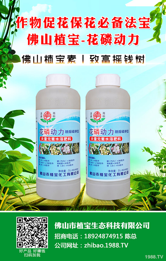 芹菜有哪些品種？吃芹菜的好處有哪些？快來(lái)看看吧！