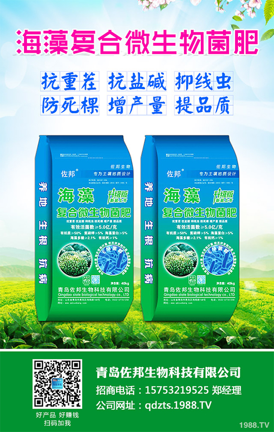     芹菜是日常生活中常見的蔬菜品種，對種植環(huán)境要求相對較高，只有在黏性土壤上才可以正常的生長。那么，芹菜什么時(shí)候種植比較好？大棚芹菜該如何種植呢？