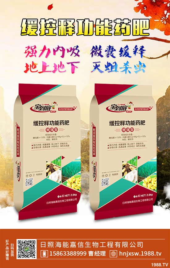 �۲�ԓ��ηNֲ��ע��Щʲô���۲˸߮a(ch��n)�Nֲ����