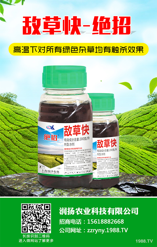 2020���ǰ��˹���Ƴ������ݷ�������Luximax��13����Ʒ