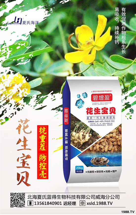 ���{(l��n)���Nǰ����������{(l��n)���߮a(ch��n)�NֲҪ�c(di��n)��