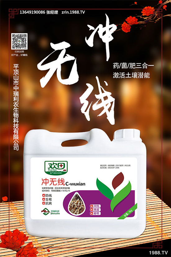 如何進行黑木耳定植與發(fā)菌管理？黑木耳種植注意事項！