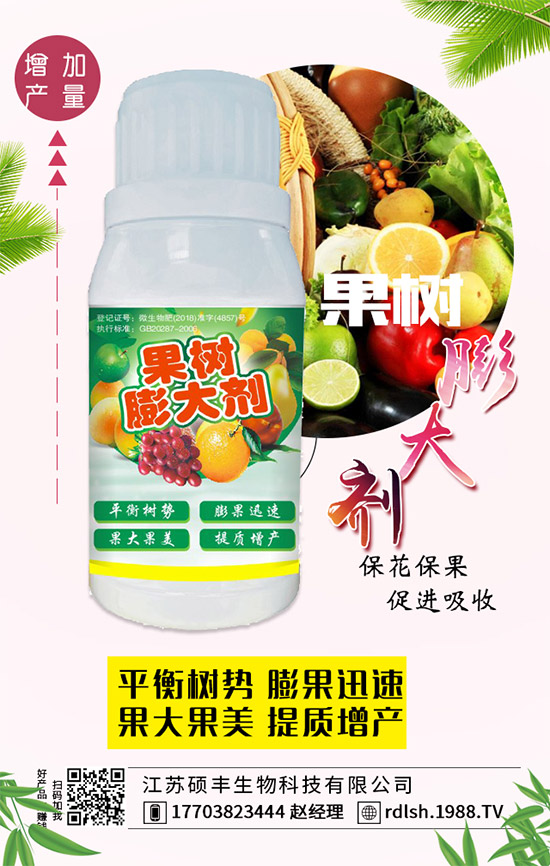 黑木耳的功效與作用，黑木耳的飲食禁忌有哪些？