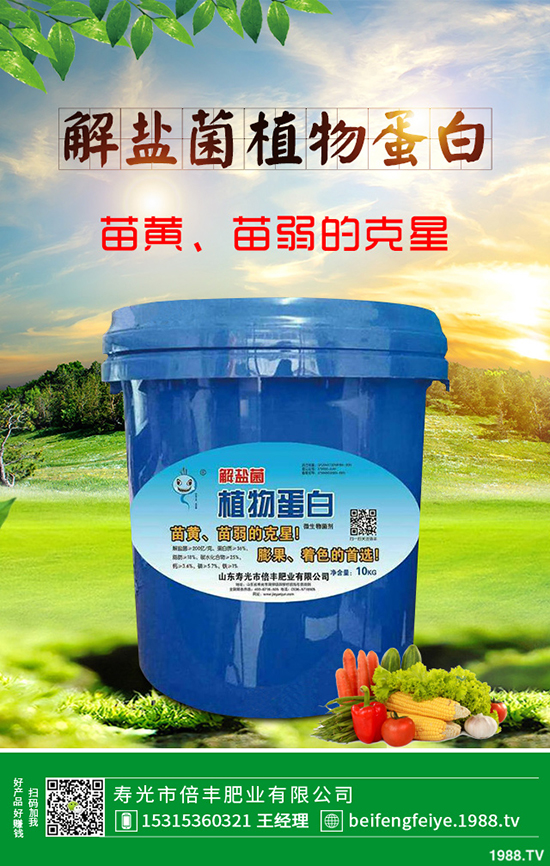 芹菜立枯病時(shí)如何引起的？該怎樣預(yù)防？芹菜立枯病大預(yù)防措施