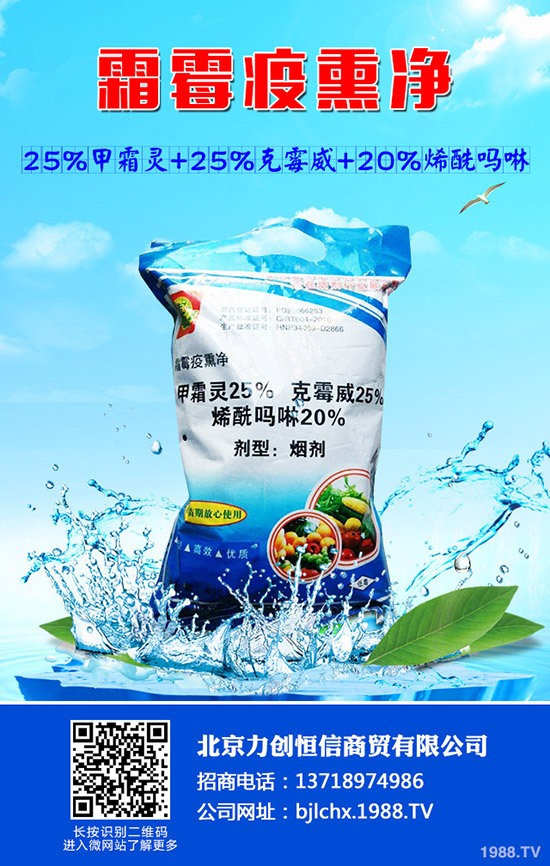 卷心菜怎么種？卷心菜的家庭種植技術(shù) 