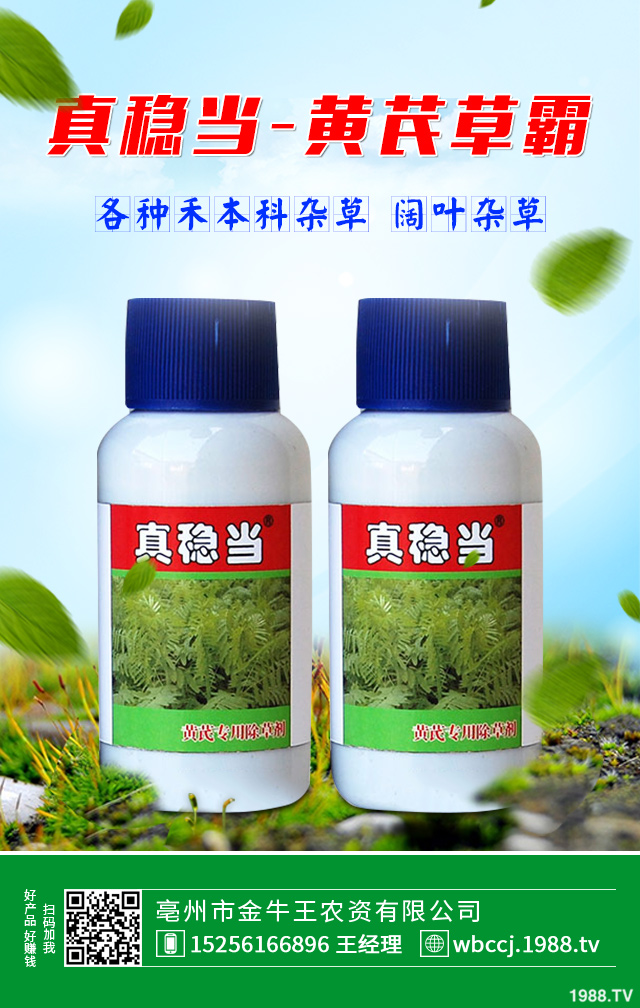 甘蔗田雜草如何除去？甘蔗田除草技巧