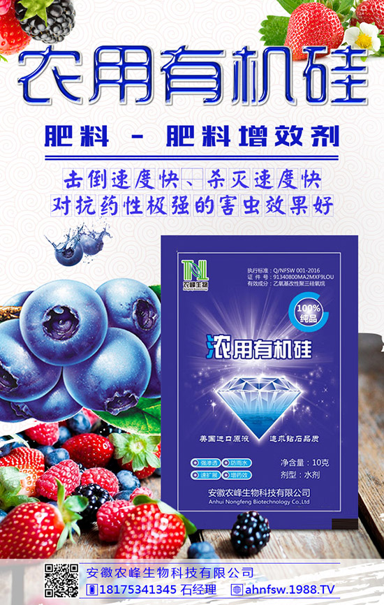 枸杞得了炭疽病怎么辦？枸杞炭疽病危害及防治方法！