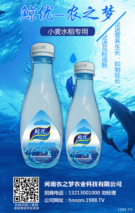 �۲˰߿ݲ�����ЩΣ����ԓ��η������۲˰߿ݲ��İl(f��)���c����