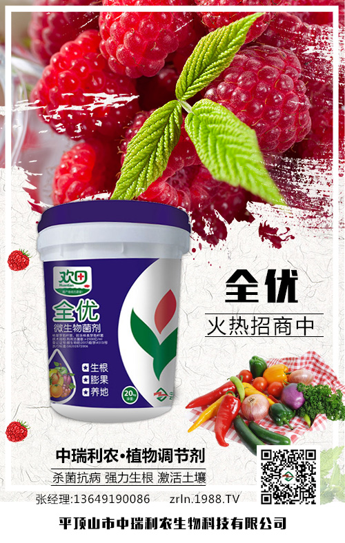 �N�������м���������⛷ʲ�������