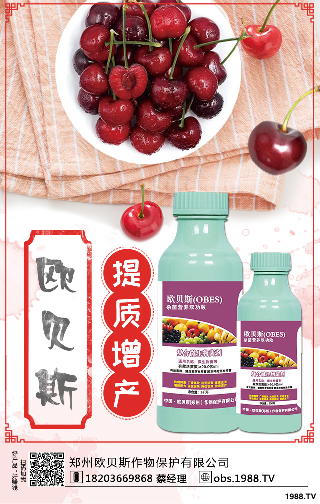 ��������ηNֲ������������༼�g(sh��)