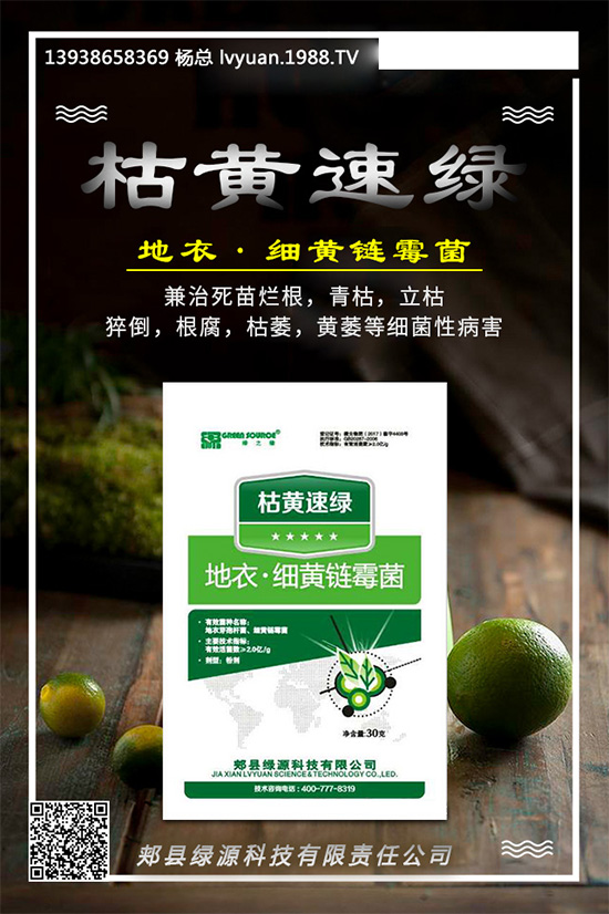 �۲����߲�����ЩΣ��������ΰl(f��)���ģ��۲����߲��İl(f��)���c����