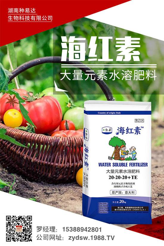 �＾��ݮ��ô�����＾�����ݮ�ĸ߮a(ch��n)���༼�g(sh��)���h(hu��n)��Ҫ��