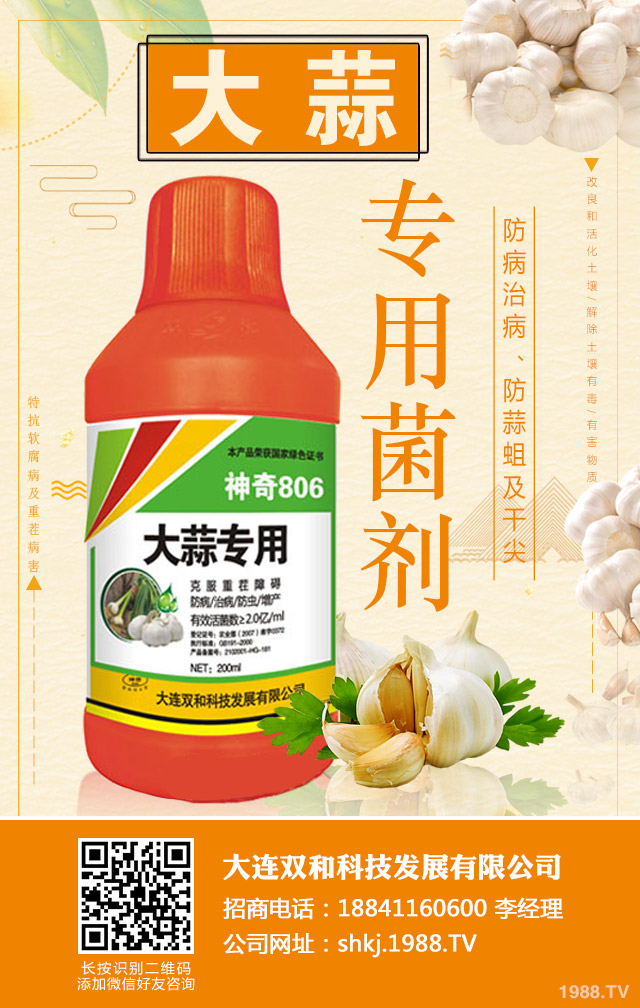 ��������ʲôԭ�t���������������ΰ�ԭ�t