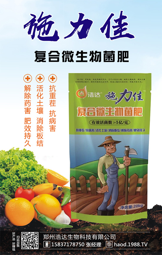 魔芋種植如何實(shí)現(xiàn)高產(chǎn)？魔芋高產(chǎn)栽培管理要點(diǎn)