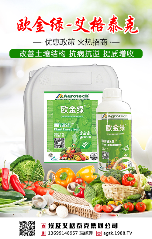 不要盲目施肥了，茶葉需要吃對(duì)糧！