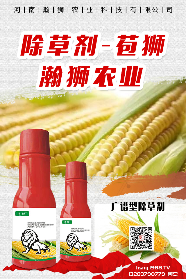 �������x����N���ò������������x����N����B