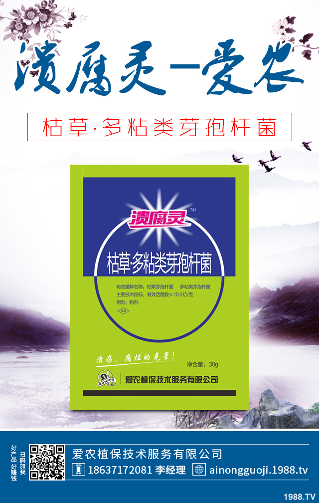 大白菜病害怎么防治？秋播大白菜病害防治方法