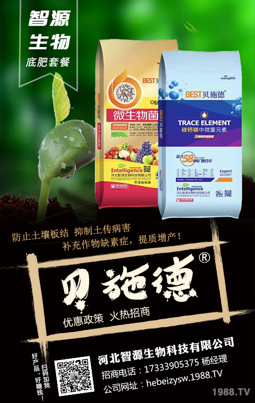 �Nֲ��횿������ǻ��ʣ�׷��ʩ�ʷ���