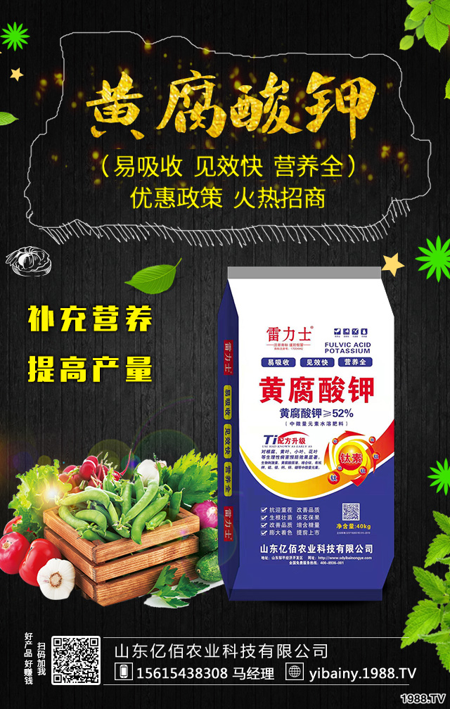 茄子如何施肥既經(jīng)濟(jì),又結(jié)果多?