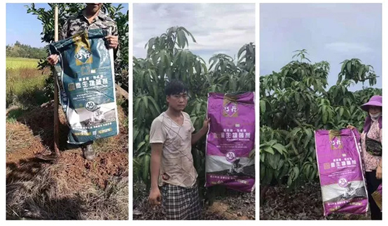 ��΢�������+�ЙC(j��)�ʡ�Ч��ţ����ʩһ���������ʡ���ָ߮a(ch��n)��