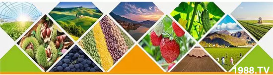 “化肥零增長”高壓下，新型肥料迅速崛起，作物科學(xué)增長空間巨大！