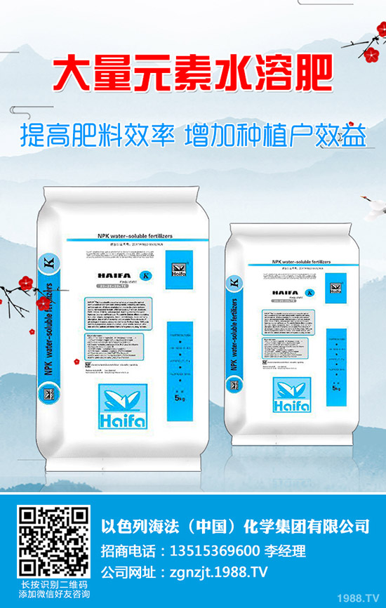     2019��9��10�ս�������(gu��)��(n��i)⛷��Ј�(ch��ng)����r(ji��)���߄�(sh��)����