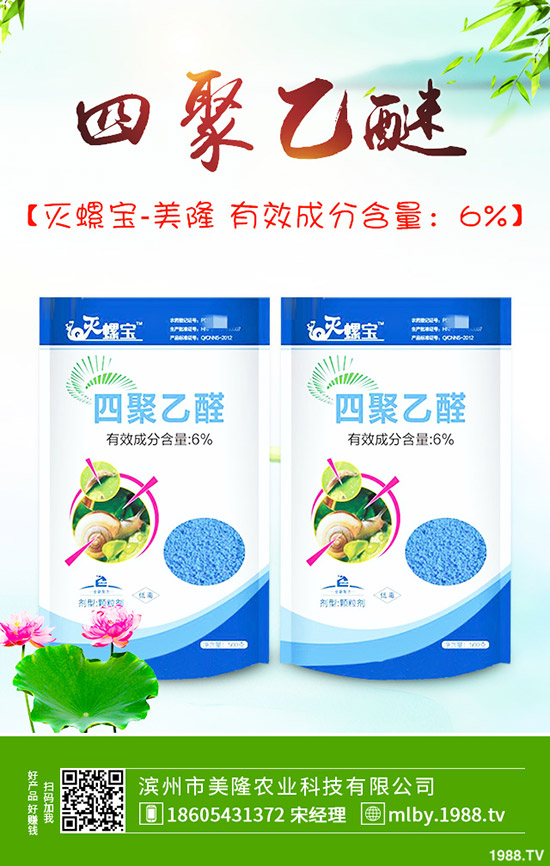 ����ԓ��ԓժ�~������ժ�~��β�����