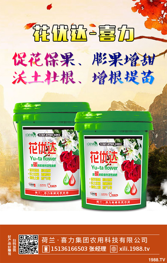 芥菜種植需要注意什么？芥菜高效種植技術(shù)及管理事項