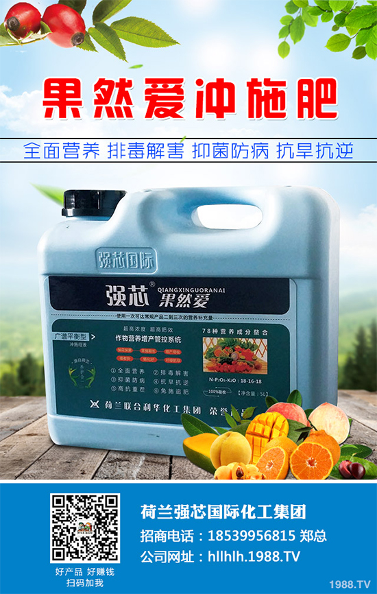 芥菜種植需要注意什么？芥菜高效種植技術(shù)及管理事項