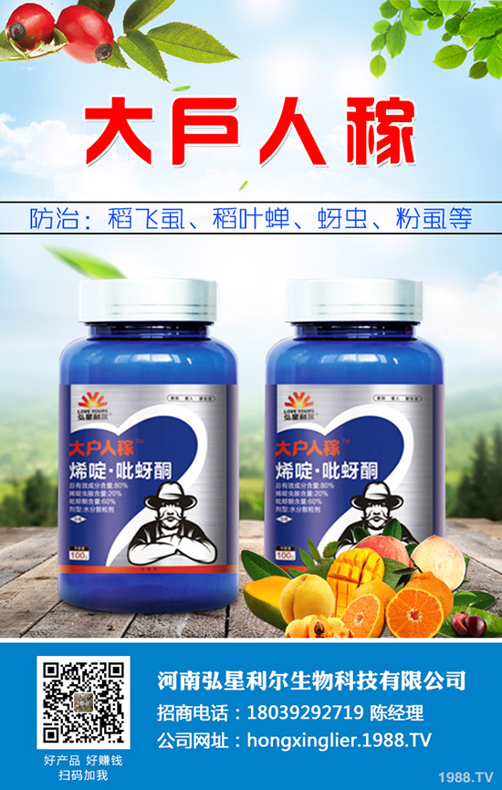 萬(wàn)年青黃葉怎么辦，萬(wàn)年青黃葉原因及防治措施！