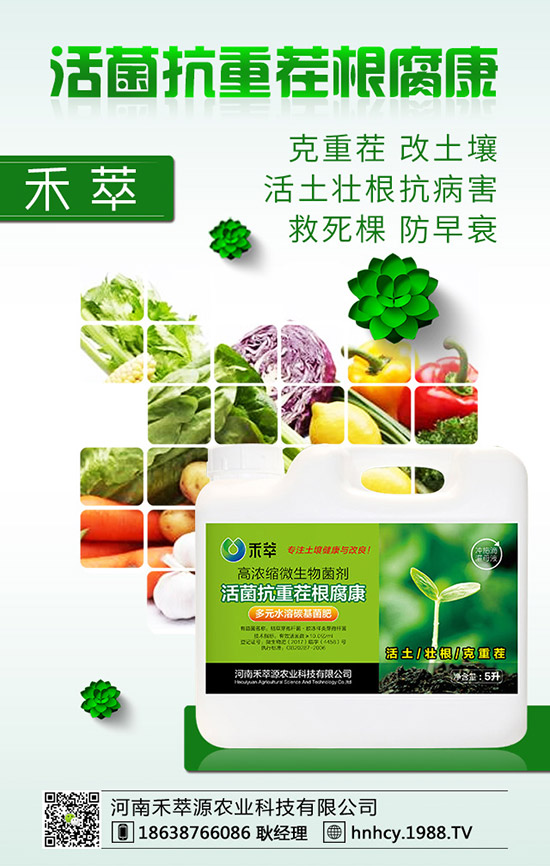 ����÷��ô�޽�������÷�޽ӷ�����