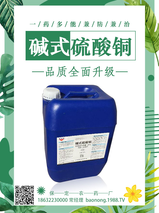 茄子土傳病害怎么辦？茄子嫁接可避免土傳病害