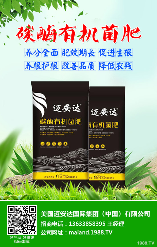 土豆什么時候種，土豆播種應注意哪些問題？