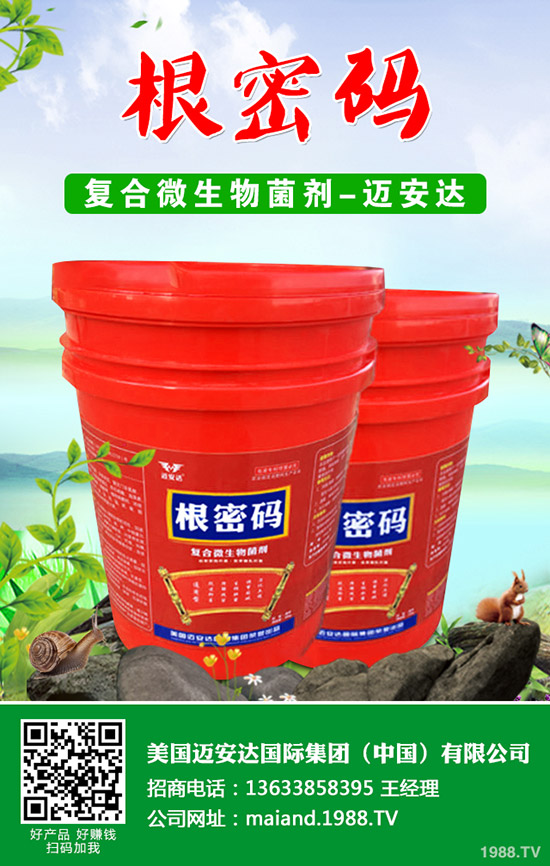 西葫蘆什么時候種植？西葫蘆種植技術！