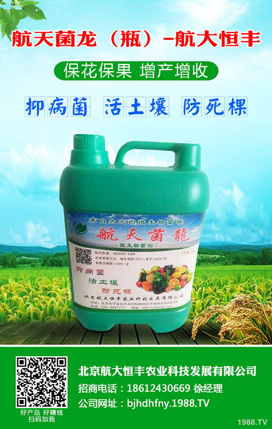 青蘿卜什么時候種植，青蘿卜栽培要點！