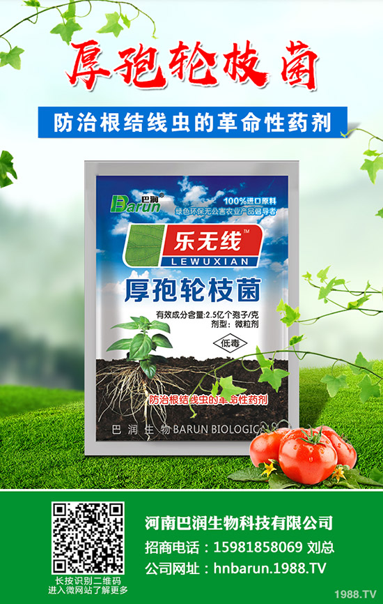 ��֦���~��ô�޼�����֦���~�޼�������