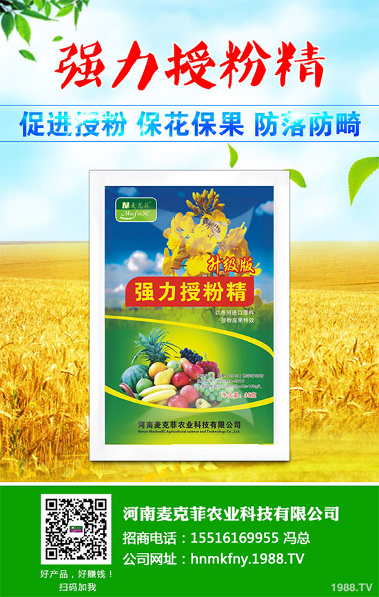 �������Щ�I(y��ng)�B(y��ng)�r(ji��)ֵ���Խ������Щ��̎����˵Ĺ�Ч�c����