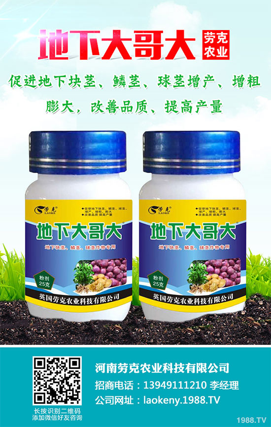 �������Щ�I(y��ng)�B(y��ng)�r(ji��)ֵ���Խ������Щ��̎����˵Ĺ�Ч�c����