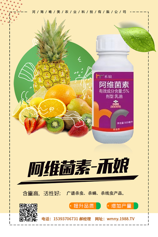 秋葵怎么種植？秋葵的種植技術(shù)