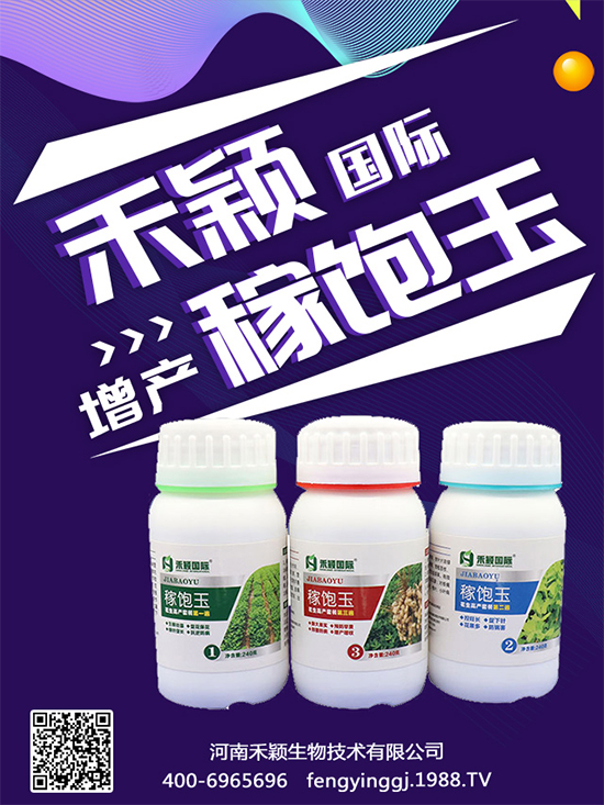 秋葵種植和收獲時(shí)間，秋葵種植的生長(zhǎng)環(huán)境！