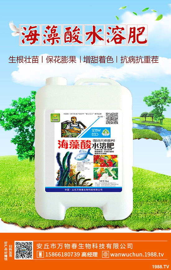 蘆薈多久澆一次水？蘆薈澆水注意事項(xiàng)！