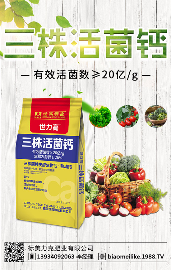 秋黃瓜什么時候栽培好，秋黃瓜栽培的注意事項！