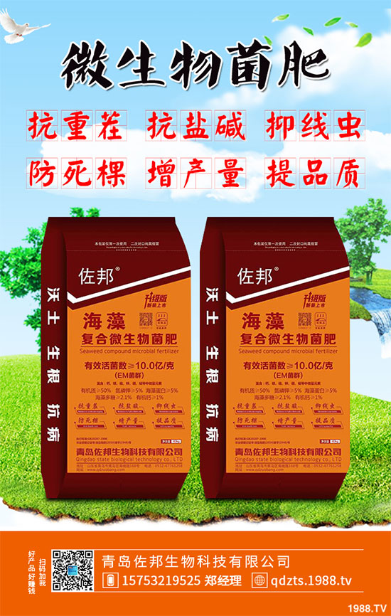 大蔥該如何施肥才能高產(chǎn)？大蔥高產(chǎn)施肥技術(shù)